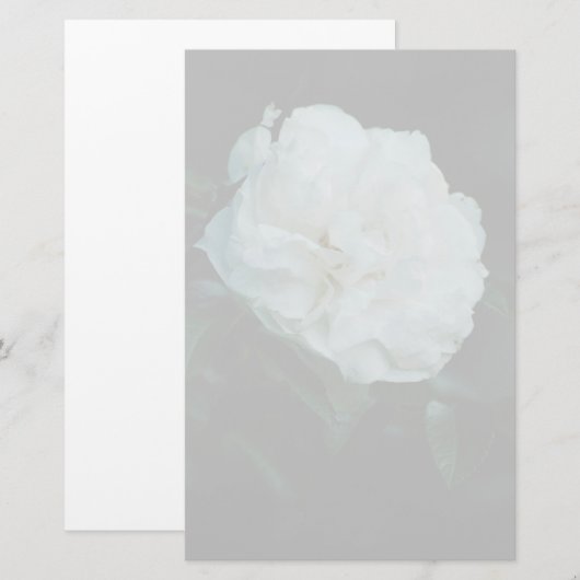 White Rose Briefpapier (Vorne/Hinten)