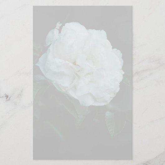 White Rose Briefpapier (Vorderseite)