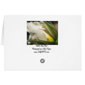White Rose Bud Card (Rückseite Horizontal)