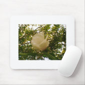White Rose Budding Bloom Mousepad (Mit Mouse)