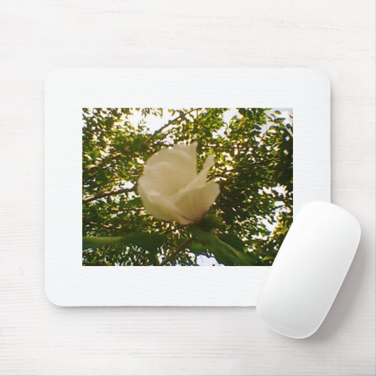 White Rose Budding Bloom Mousepad (Mit Mouse)