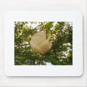 White Rose Budding Bloom Mousepad (Vorne)