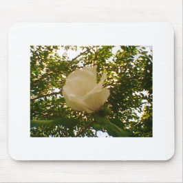 White Rose Budding Bloom Mousepad