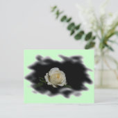 White Rose Burned Edges Postkarte (Stehend Vorderseite)