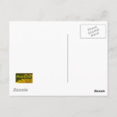 White Rose Burned Edges Postkarte (Rückseite)