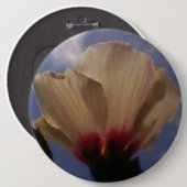 White Rose Button (Vorne & Hinten)