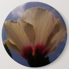 White Rose Button