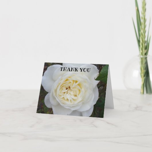 White Rose Danke-Karte Dankeskarte (Vorderseite)