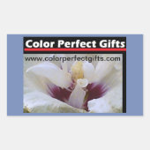 White Rose Demonstation Rechteckiger Aufkleber (Vorderseite)