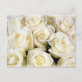 White Rose Elegance Postkarte (Vorderseite)