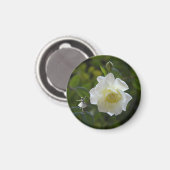 White Rose Fairy Magnet (Vorderseite/Rückseite)