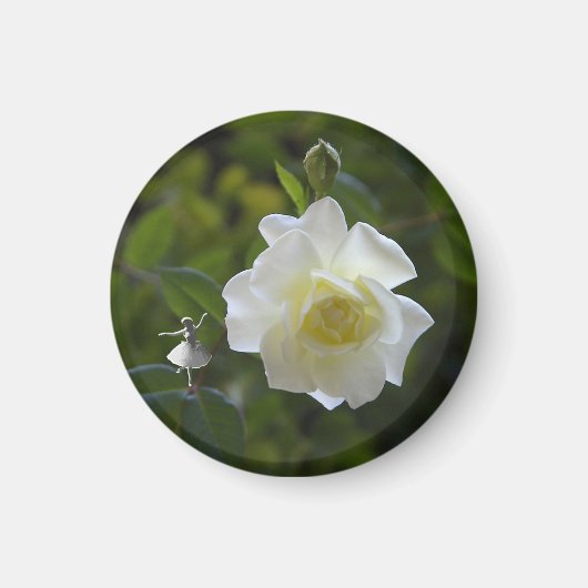 White Rose Fairy Magnet (Vorne)