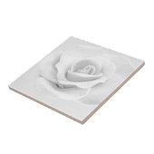 White Rose Fliese (Seite)
