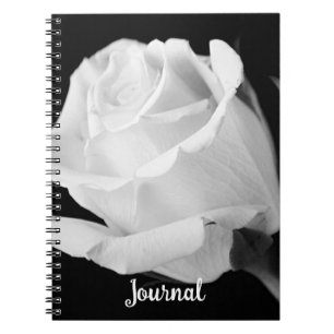 White Rose Fotografy Art Blume Personal Notizblock