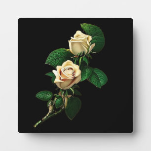 White Rose Fotoplatte