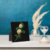 White Rose Fotoplatte (InSitu)