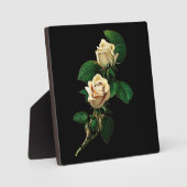 White Rose Fotoplatte (Vorderseite)