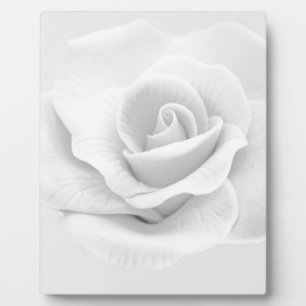 White Rose Fotoplatte