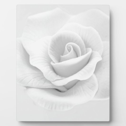 White Rose Fotoplatte (Vorderseite)