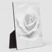 White Rose Fotoplatte (Seite)
