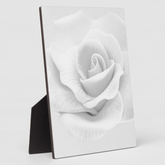 White Rose Fotoplatte (Seite)