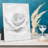 White Rose Fotoplatte (Seite)