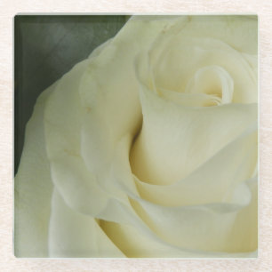 White Rose Glasuntersetzer