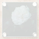 White Rose Glasuntersetzer (Rückseite)