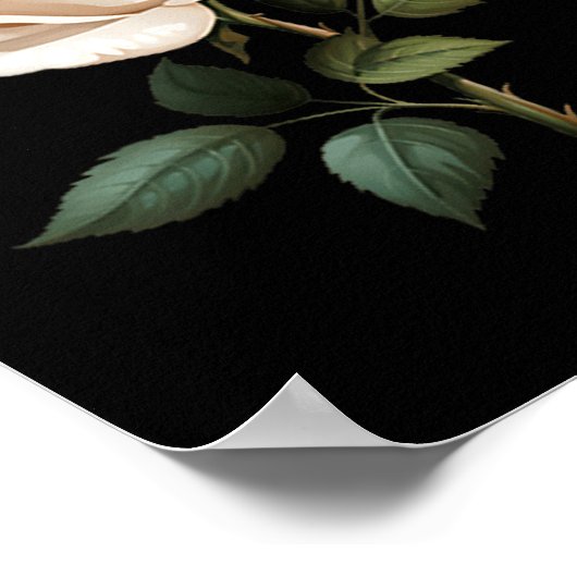 White Rose Graphic  Poster (Ecke)