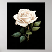 White Rose Graphic  Poster (Vorne)