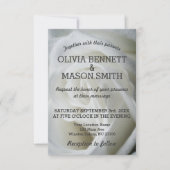 White Rose - Hochzeitskarte Einladung (Vorderseite)