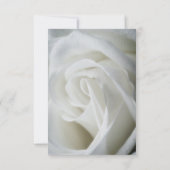 White Rose - Hochzeitskarte Einladung (Rückseite)