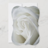 White Rose - Hochzeitskarte Einladung (Rückseite)