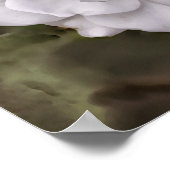 White Rose Hope Scripting Art Print Poster (Ecke)