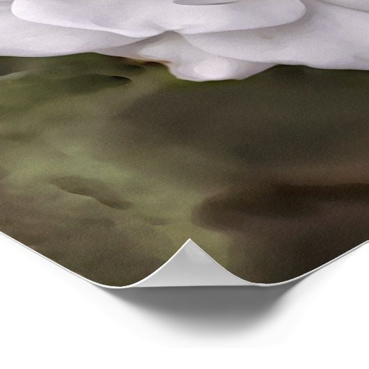 White Rose Hope Scripting Art Print Poster (Ecke)