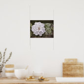White Rose Hope Scripting Art Print Poster (Küche)
