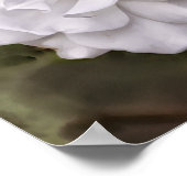 White Rose Hope Scripting Art Print Poster (Ecke)