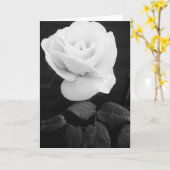 White Rose Karte (Gelbe Blume)