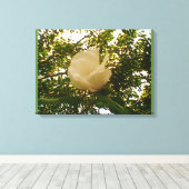 White Rose Leinwanddruck (Insitu (Holzboden))