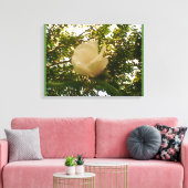 White Rose Leinwanddruck (Insitu (Wohnzimmer))