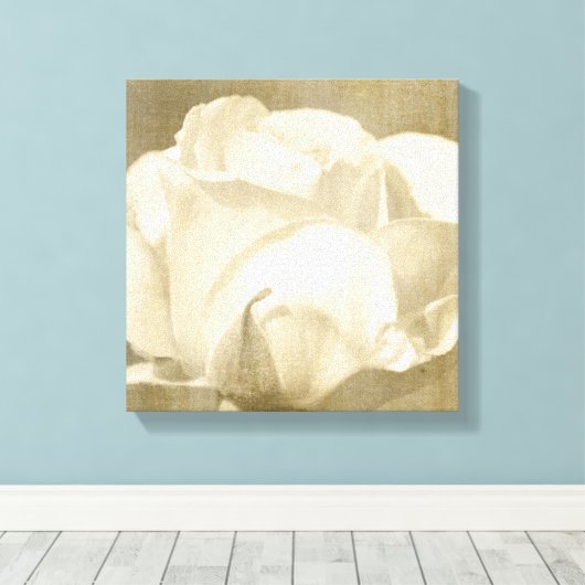 White Rose Leinwanddruck (Insitu (Holzboden))