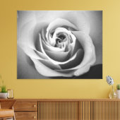 White Rose Leinwanddruck (Insitu (Wohnzimmer))