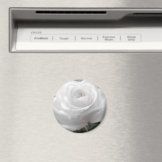 White Rose Magnet (In Situ (Geschirrspüler))