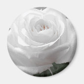 White Rose Magnet (Vorne)