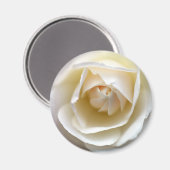 White Rose Magnet (Vorderseite/Rückseite)