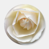 White Rose Magnet (Vorne)