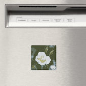 White Rose Magnet (In Situ (Geschirrspüler))