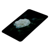 White Rose Magnet (Linke Seite)