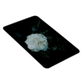 White Rose Magnet (Rechte Seite)
