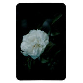 White Rose Magnet (Vertikal)